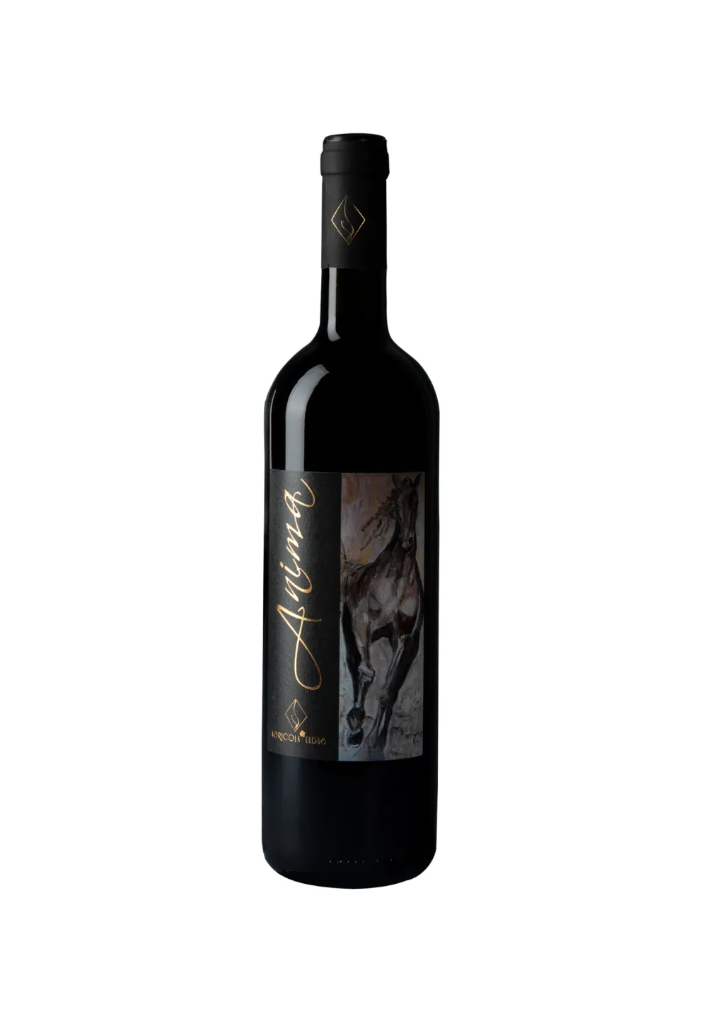 Anima 2019 IGT Toscana Rosso